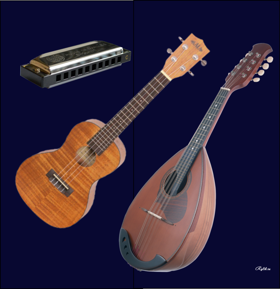 Nojor Instruments Instruments – Nick Minnion